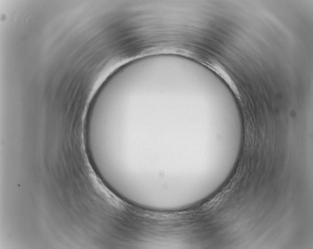 X0000087381132200705041938