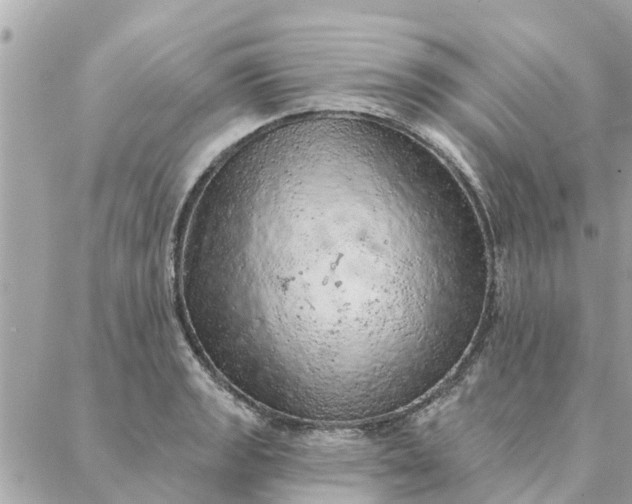 X0000087381133200705041938