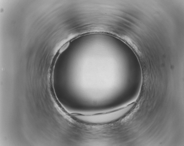 X0000087381134200705041939