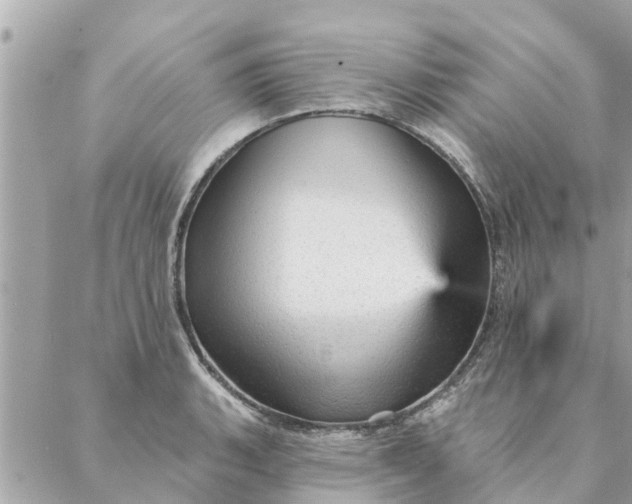 X0000087381135200705041939