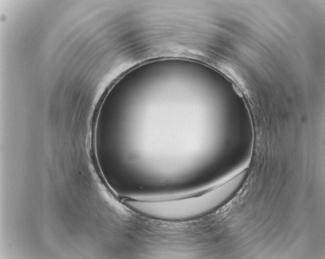 X0000087381136200705041939