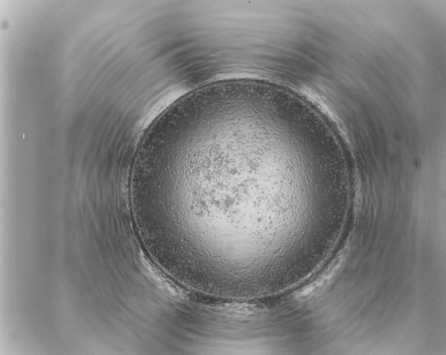 X0000087381137200705041939