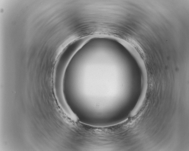 X0000087381138200705041939