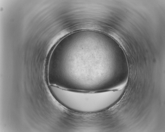 X0000087381139200705041939