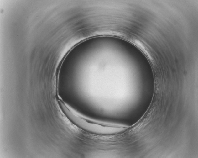 X0000087381140200705041939