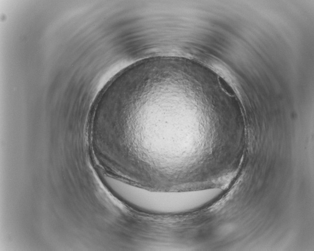 X0000087381141200705041939