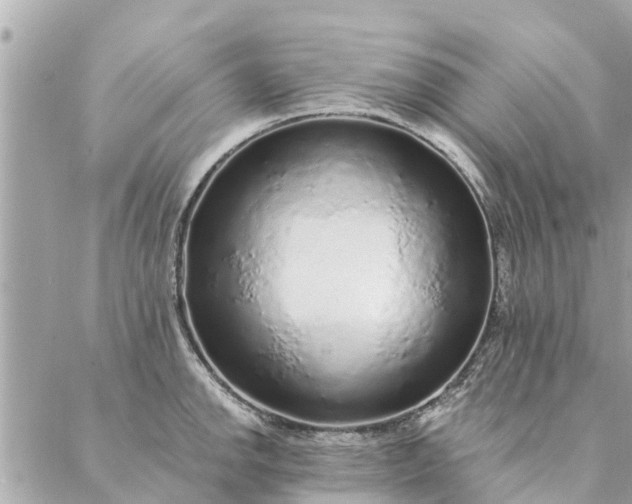 X0000087381142200705041939