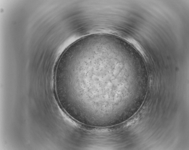 X0000087381143200705041939