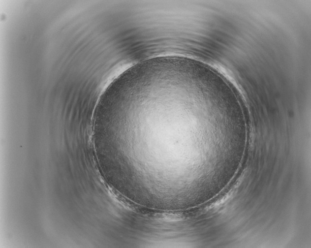 X0000087381145200705041939