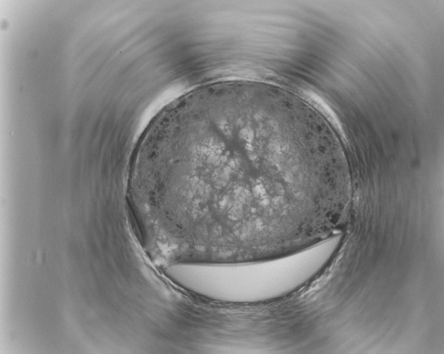 X0000087381146200705041939