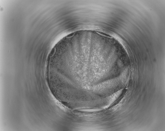 X0000087381147200705041939