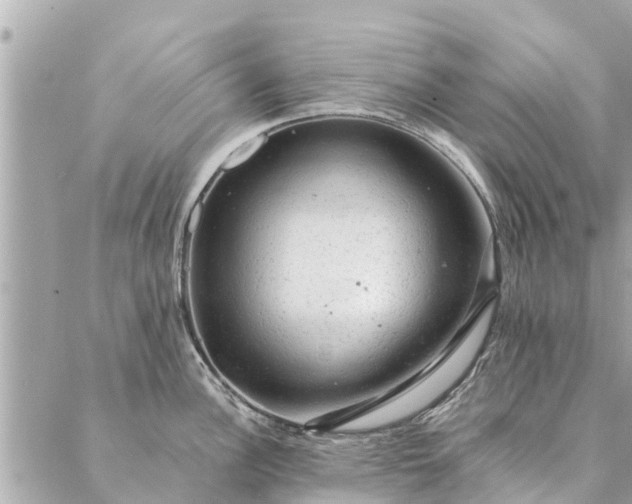 X0000087381148200705041939