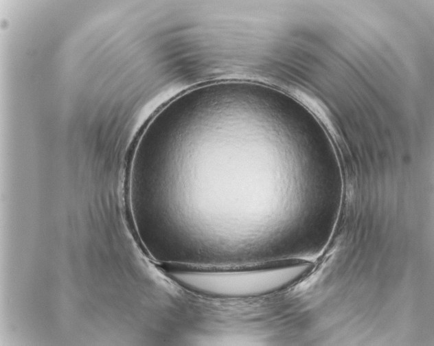 X0000087381149200705041939