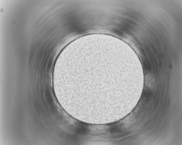 X0000087381150200705041939