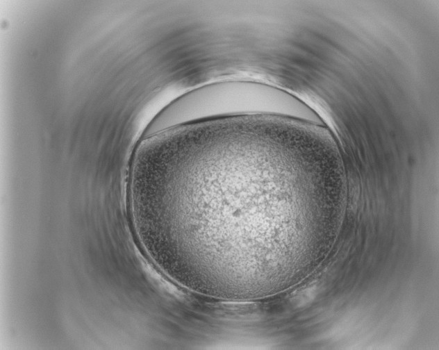 X0000087381151200705041939