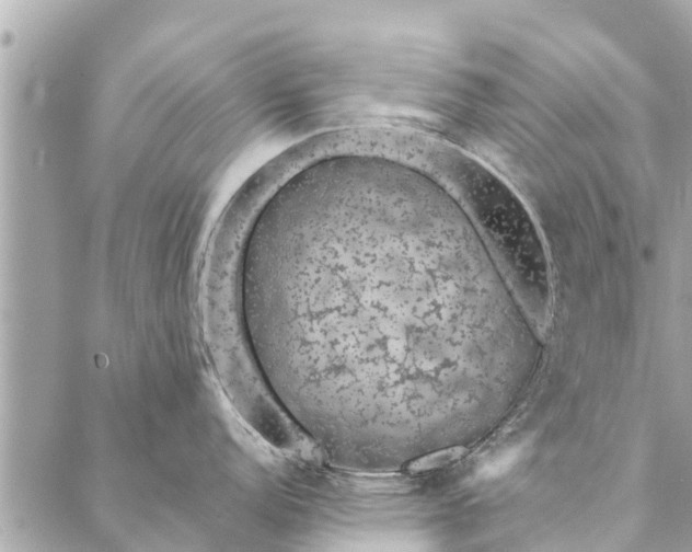 X0000087381152200705041939