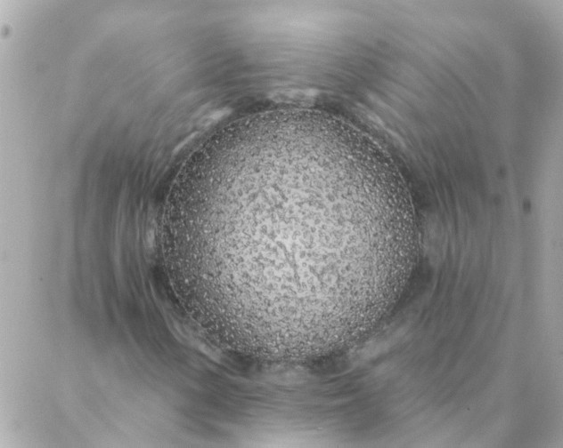 X0000087381154200705041938