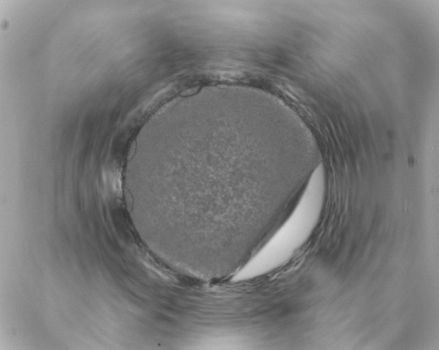 X0000087381155200705041938