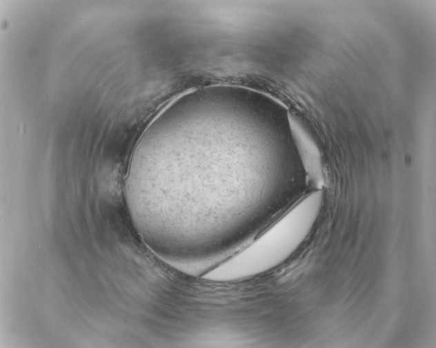 X0000087381156200705041938