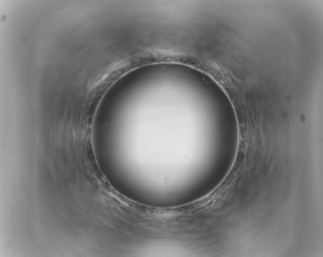 X0000087381157200705041938