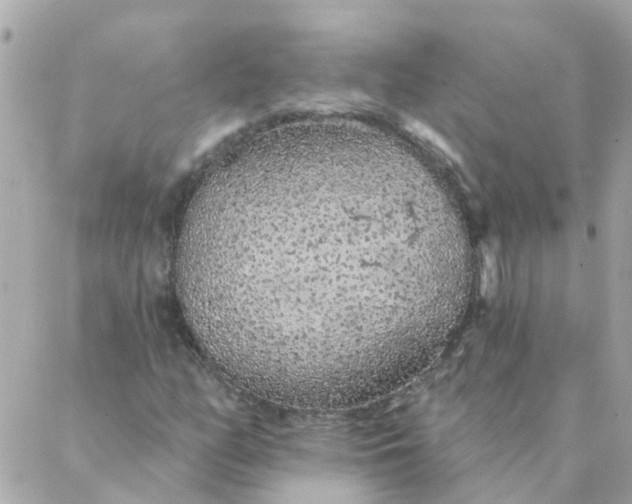 X0000087381158200705041938