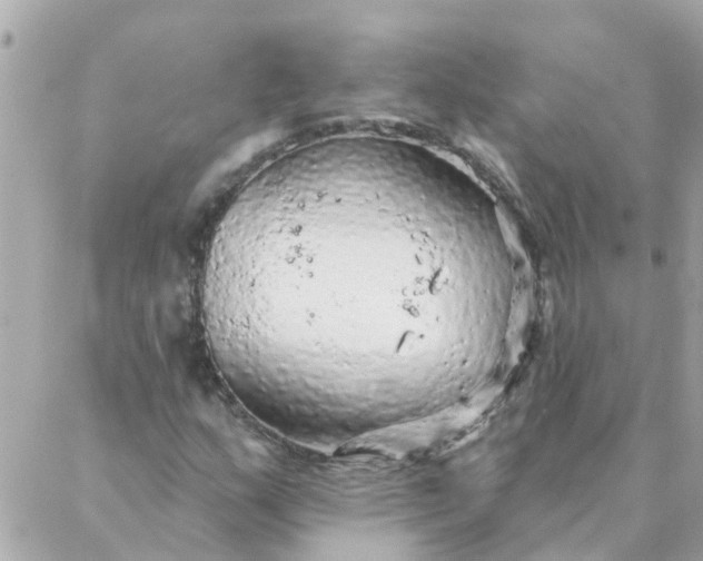 X0000087381159200705041938