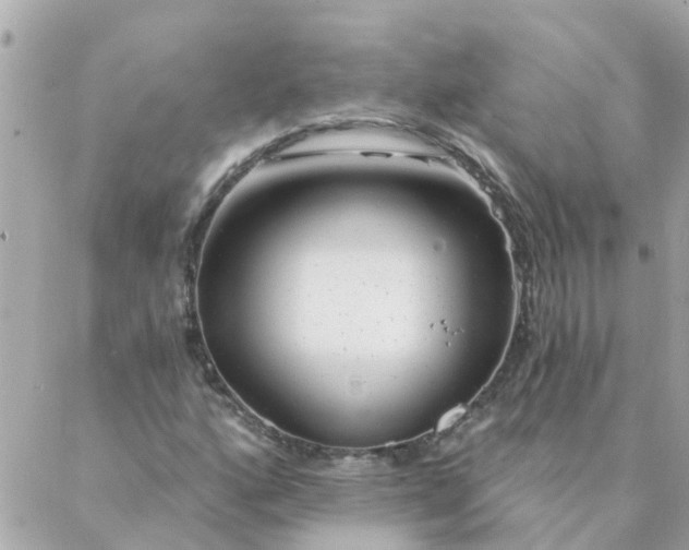 X0000087381160200705041938