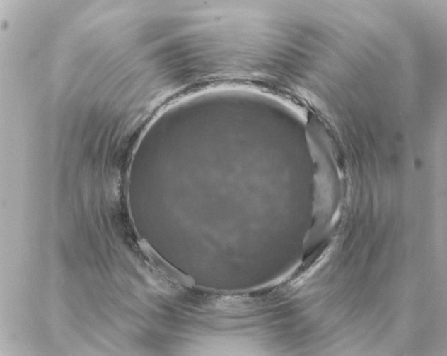 X0000087381161200705041938