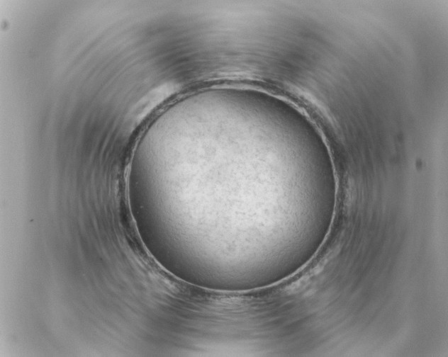 X0000087381162200705041938