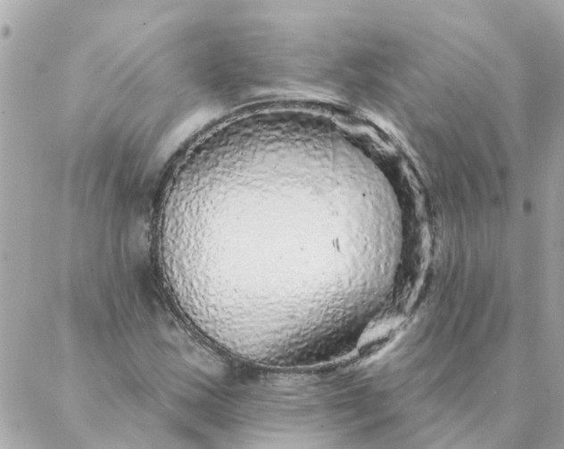 X0000087381163200705041938