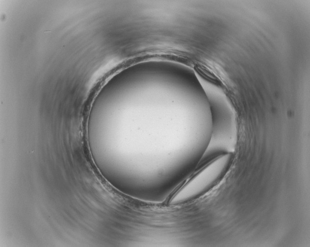 X0000087381164200705041938