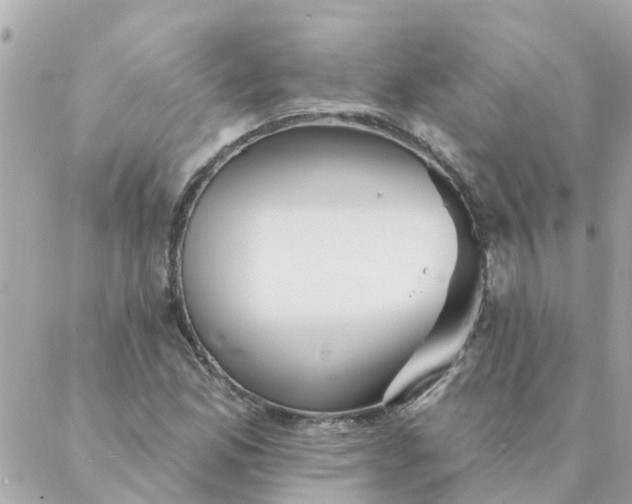 X0000087381165200705041938