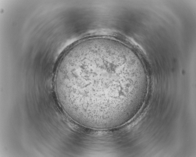 X0000087381166200705041938