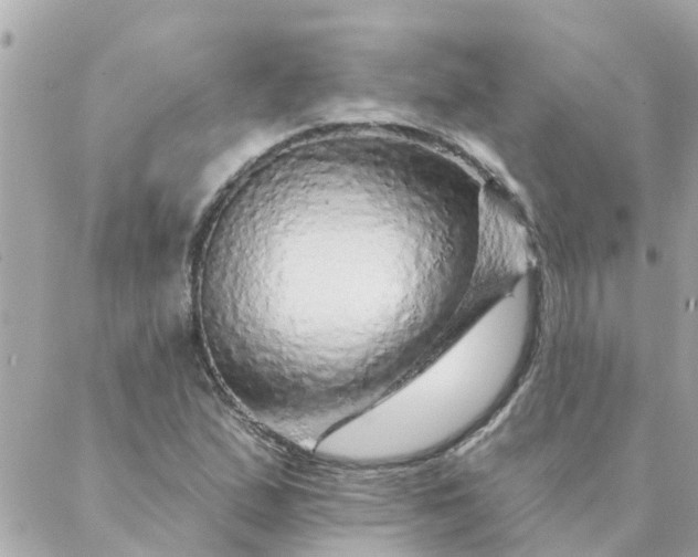 X0000087381167200705041938