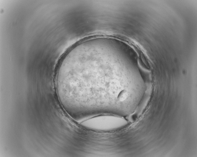 X0000087381168200705041938