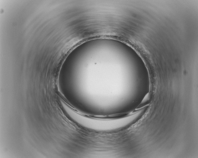 X0000087381169200705041938