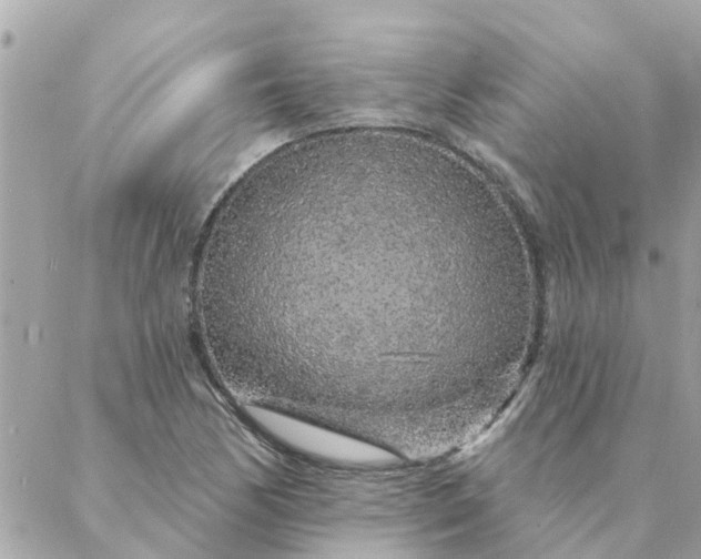 X0000087381170200705041938