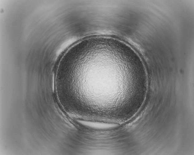 X0000087381171200705041938