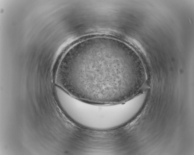 X0000087381172200705041938