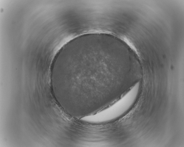 X0000087381173200705041938