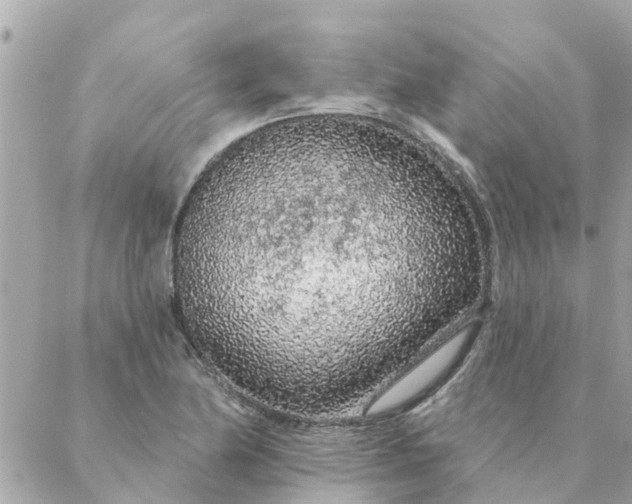 X0000087381174200705041938