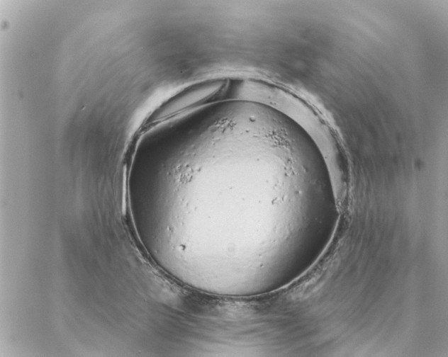 X0000087381175200705041938