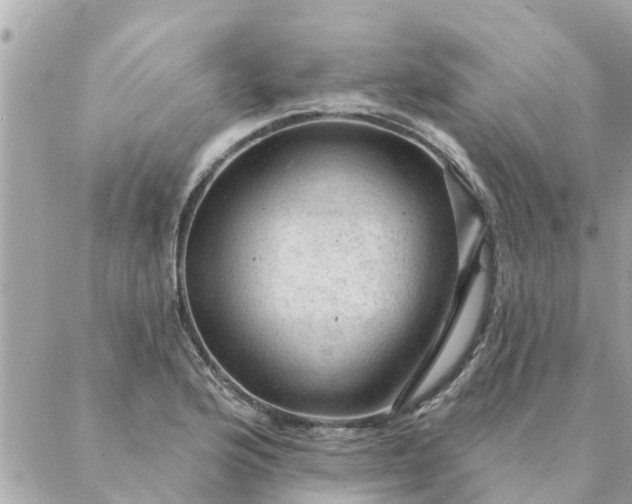 X0000087381176200705041938