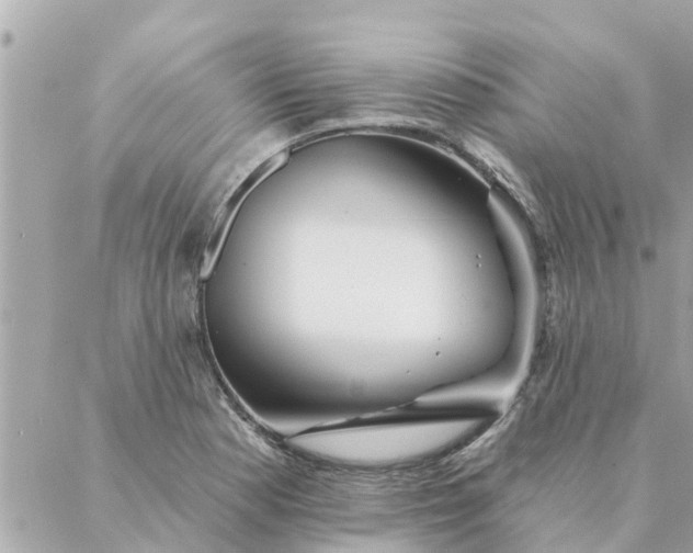 X0000087381177200705041938