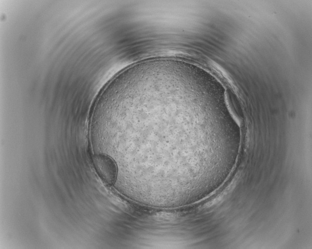 X0000087381178200705041938