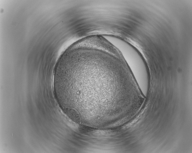 X0000087381179200705041938