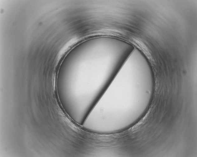 X0000087381180200705041938