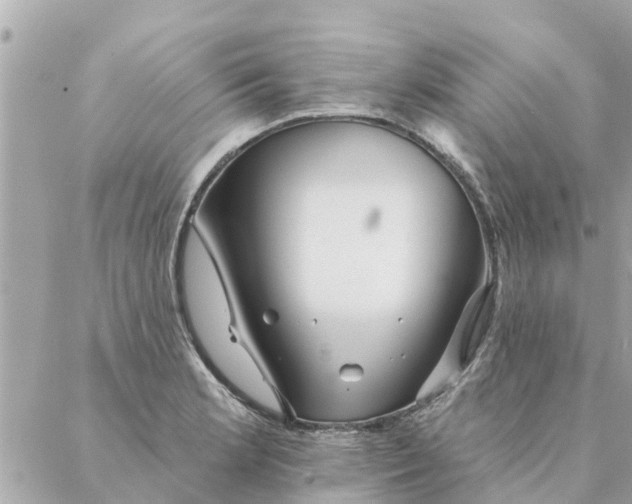 X0000087381181200705041938