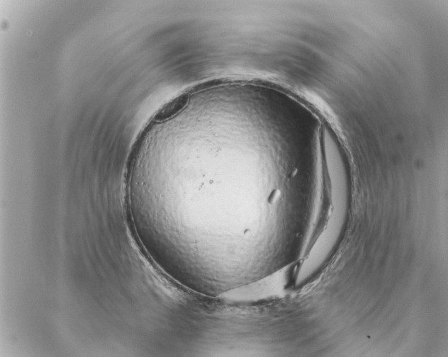 X0000087381183200705041938