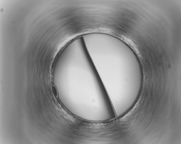 X0000087381184200705041938